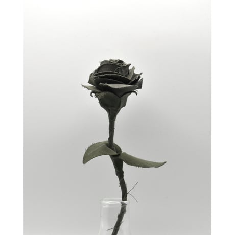Fragment Rose - French Military -｜ Remake by VERS