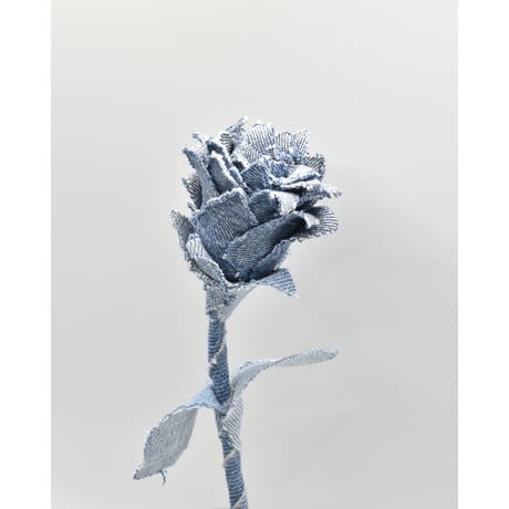 Fragment Rose - Light Blue  -｜ Remake by VERS