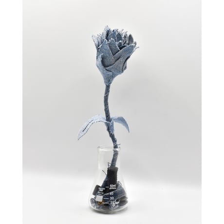 Fragment Rose - Light Blue  -｜ Remake by VERS