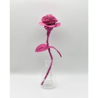 Fragment Rose - Shocking Pink -｜ Remake by VERS