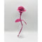 Fragment Rose - Shocking Pink -｜ Remake by VERS