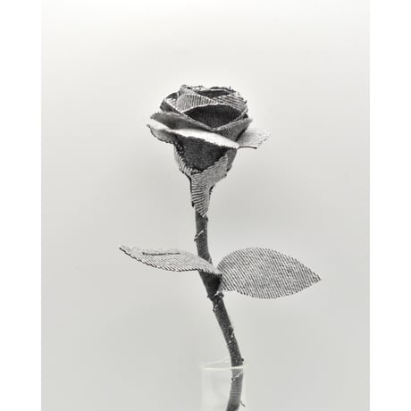 Fragment Rose - Fade Black - ｜ Remake by VERS