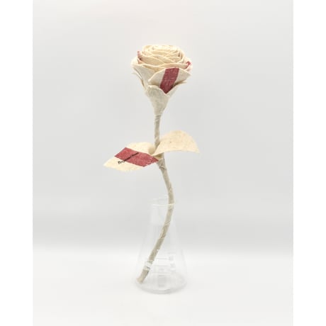 Fragment Rose Atelier - French Antique Linen -｜ Remake by VERS