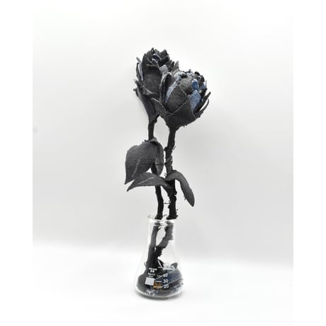 Fragment Rose - Black × Blue -｜ Remake by VERS