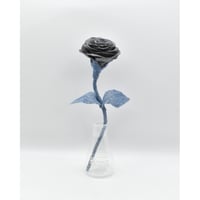 Fragment Rose - Midnight Lake - ｜ Remake by VERS