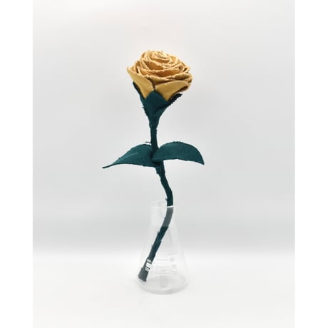 Fragment Rose - Amber Garden -｜ Remake by VERS