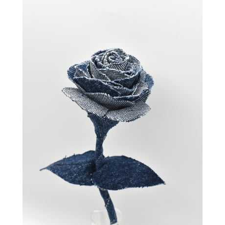 Fragment Rose - Deep Indigo Contrast -｜ Remake by VERS