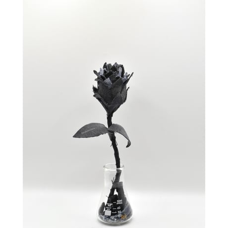 Fragment Rose - Black × Blue -｜ Remake by VERS