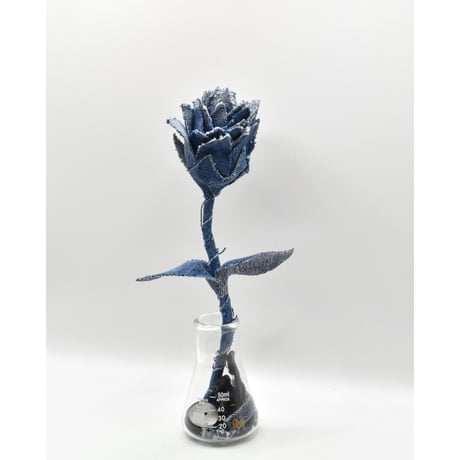 Fragment Rose - Deep Indigo  -｜ Remake by VERS
