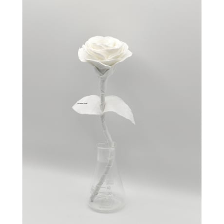 Fragment Rose - Pure White -｜ Remake by VERS