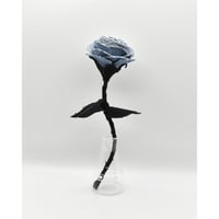 Fragment Rose - Sky Garden -｜ Remake by VERS