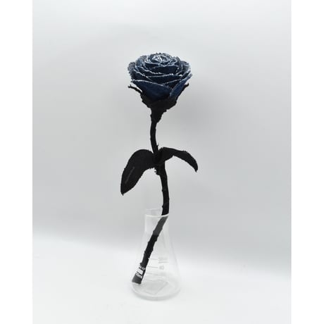 Fragment Rose - Blue Nocturne -｜ Remake by VERS