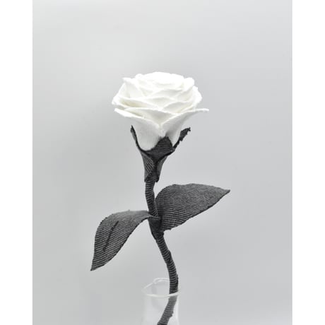 Fragment Rose - White Shadow -｜ Remake by VERS