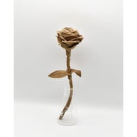 Fragment Rose - Denim - Sand Beige / TYPE B ｜ Remake by VERS