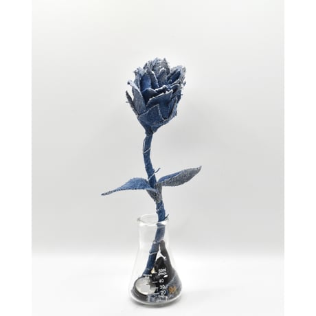 Fragment Rose - Deep Indigo  -｜ Remake by VERS