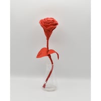 Fragment Rose - Scarlet Red - / TYPE B ｜ Remake by VERS
