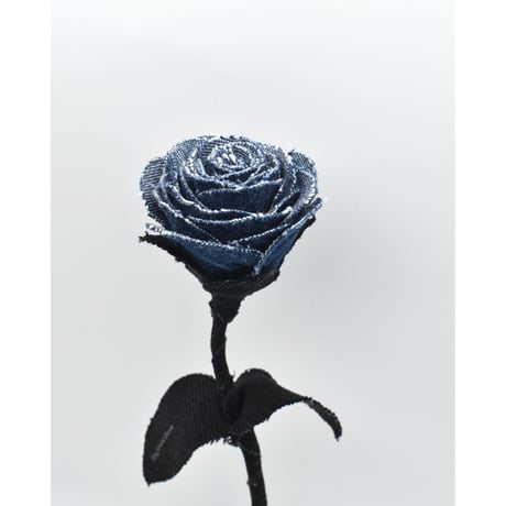 Fragment Rose - Blue Nocturne -｜ Remake by VERS