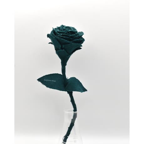 Fragment Rose - Peacock Green -｜ Remake by VERS