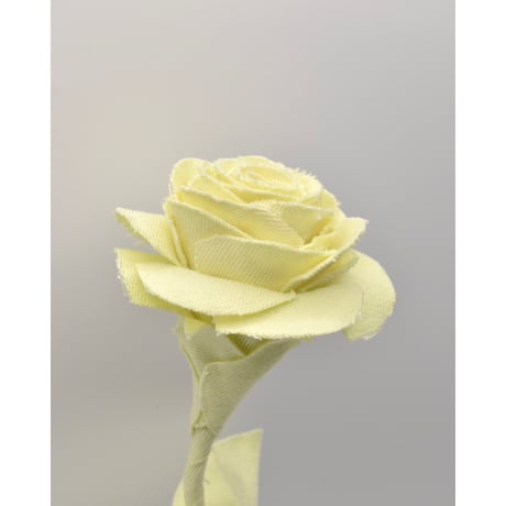 Fragment Rose - Butter Yellow -｜ Remake by VERS