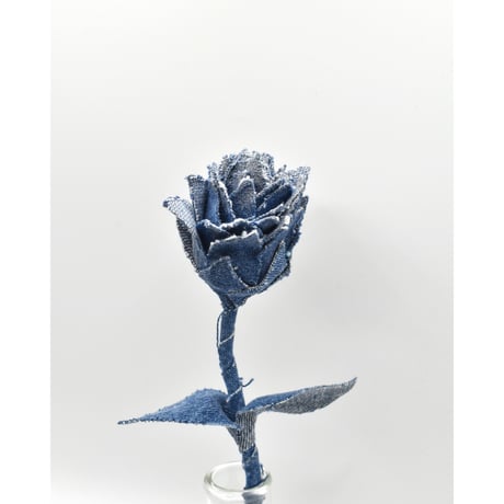Fragment Rose - Deep Indigo  -｜ Remake by VERS
