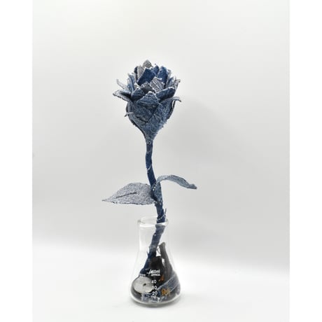 Fragment Rose - Chemical Wash -｜ Remake by VERS