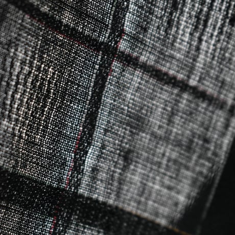 Sheer Check Stitch L/S Shirt