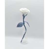 Fragment Rose - White Breeze -｜ Remake by VERS