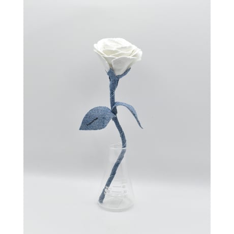 Fragment Rose - White Breeze -｜ Remake by VERS