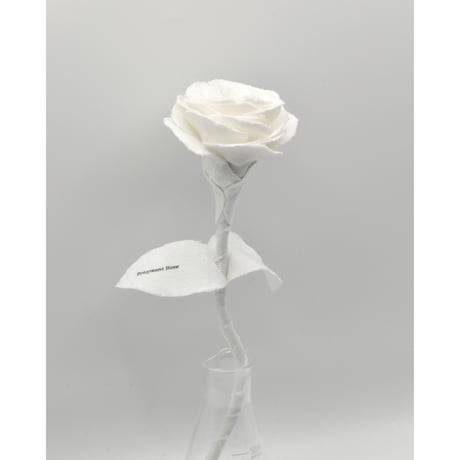 Fragment Rose - Pure White -｜ Remake by VERS