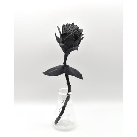 Fragment Rose - Fade Black -｜ Remake by VERS