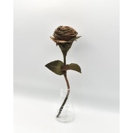 Fragment Rose - Hungarian Hurricane Camo -｜ Remake by VERS