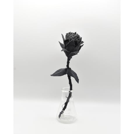 Fragment Rose - Fade Black -｜ Remake by VERS