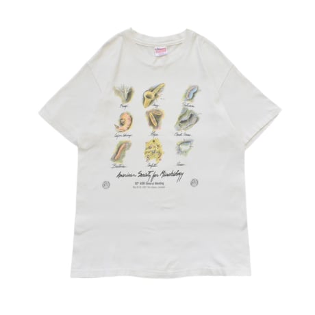 Vintage Art Graphic T-Shirt