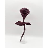 Fragment Rose - Bordeaux -｜ Remake by VERS