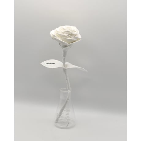 Fragment Rose - White - ｜ Remake by VERS