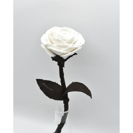 Fragment Rose - Moon Shadow -｜ Remake by VERS