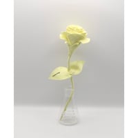 Fragment Rose - Denim - Yellow / TYPE B ｜ Remake by VERS