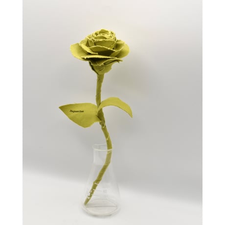 Fragment Rose - Olive Yellow  -｜ Remake by VERS
