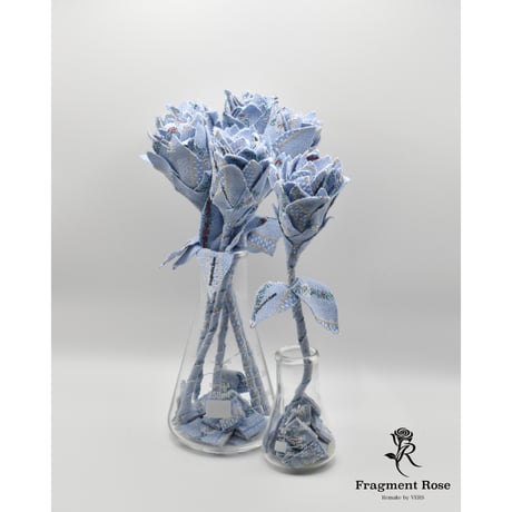 Fragment Rose -Edelweiss- ｜ Remake by VERS