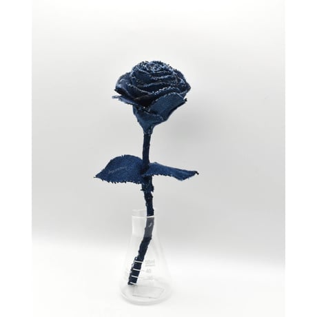 Fragment Rose - Dark Blue -｜ Remake by VERS