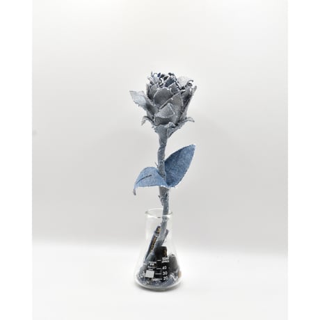 Fragment Rose - Light Blue  -｜ Remake by VERS