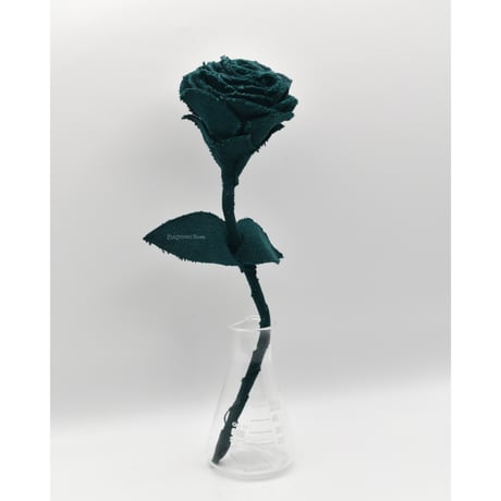 Fragment Rose - Peacock Green -｜ Remake by VERS