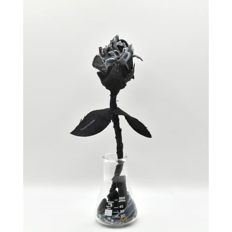 Fragment Rose - Black × Blue -｜ Remake by VERS