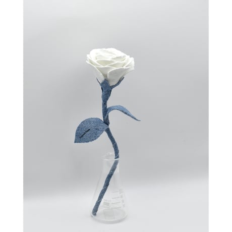 Fragment Rose - White Breeze -｜ Remake by VERS