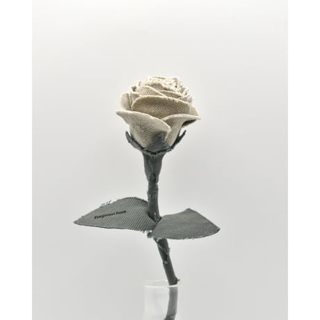 Fragment Rose - Ash Ivory - ｜ Remake by VERS