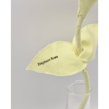 Fragment Rose - Butter Yellow -｜ Remake by VERS