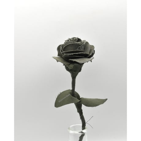 Fragment Rose - French Military -｜ Remake by VERS