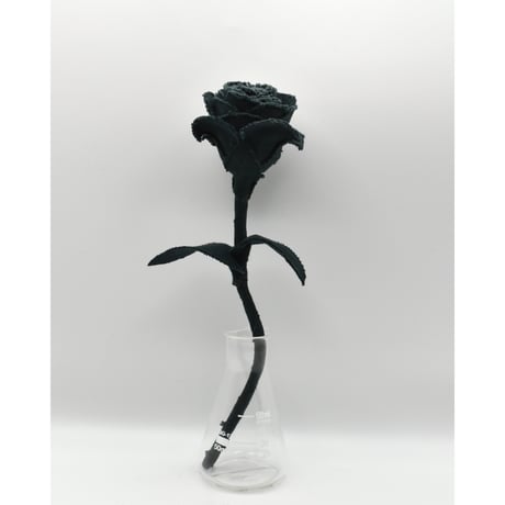 Fragment Rose - Deep Forest Green - ｜ Remake by VERS