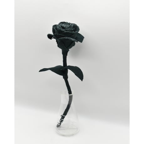 Fragment Rose - Deep Forest Green - ｜ Remake by VERS