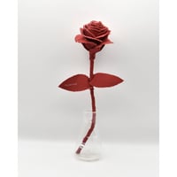 Fragment Rose - Crimson Red - / TYPE B ｜ Remake by VERS